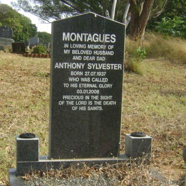 MONTAGUES Anthony Sylvester 1937-2008