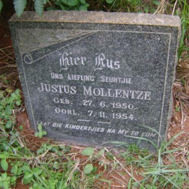 MOLLENTZE Justus 1950-1954