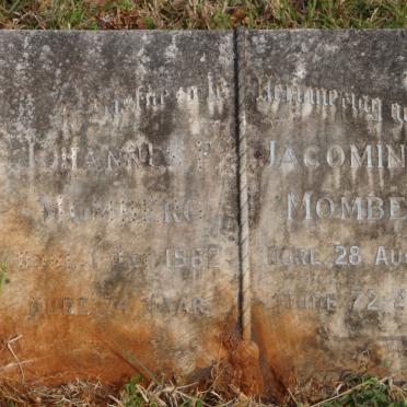 MOMBERG Johannes F. -1962 &amp; Jacomina H. -1964