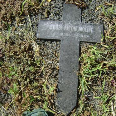 MOLIFE Mqubi Alton 1914-2001