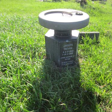 MOMPLE Joseph Trevor 1926-1995