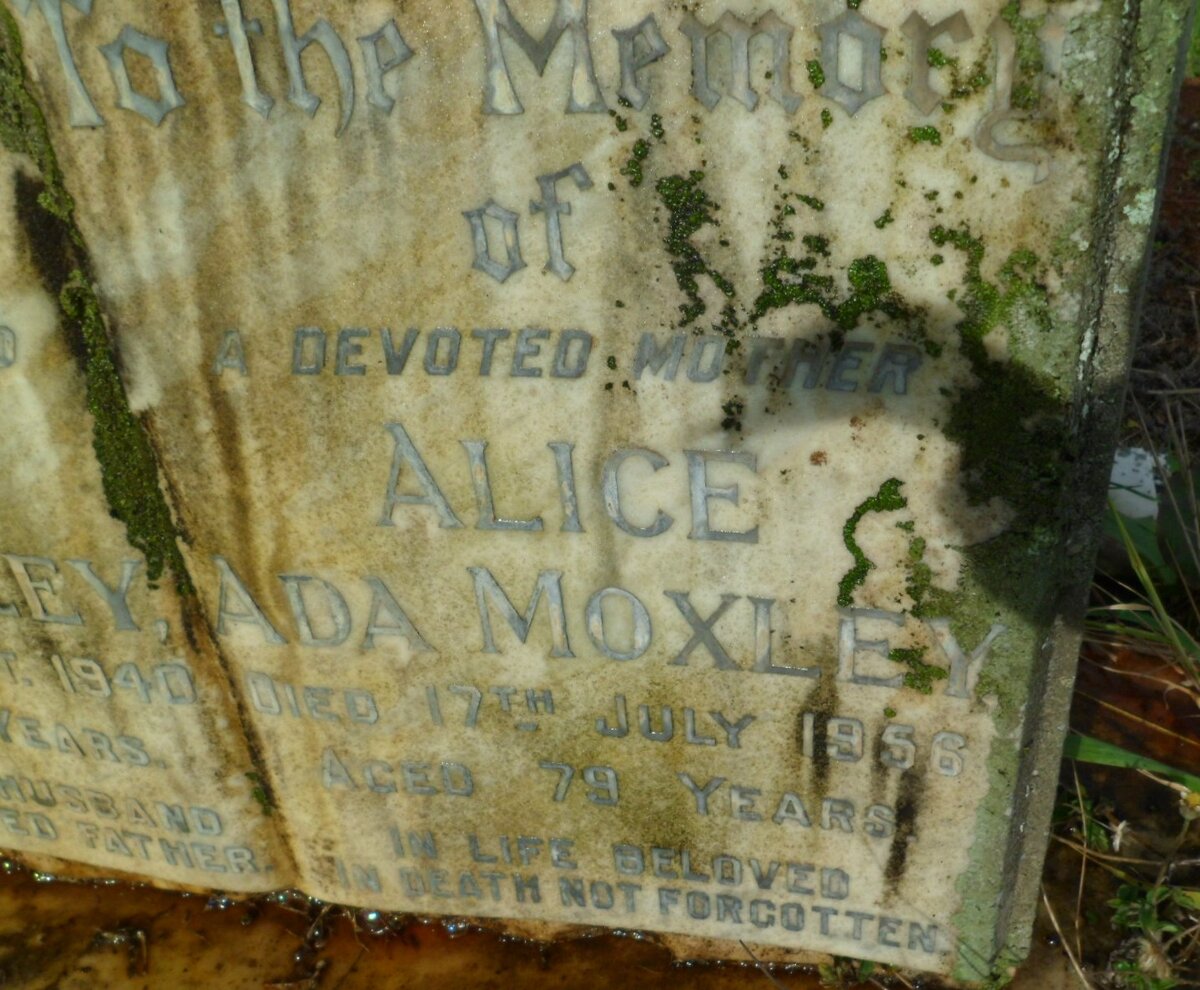 MOXLEY Alice Ada -1956