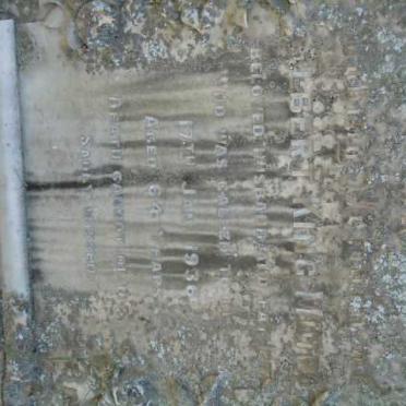 MUIR Albert King -1936