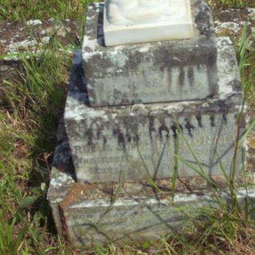 McDONALD Roma Margaret -1915