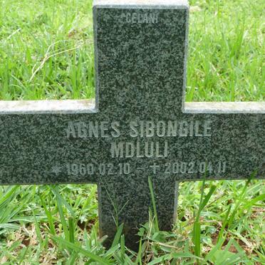 MDLULI Agnes Sibongile 1960-2002