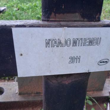MTHEMBU Ntando -2011