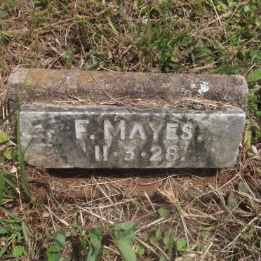 MAYES F. -1928