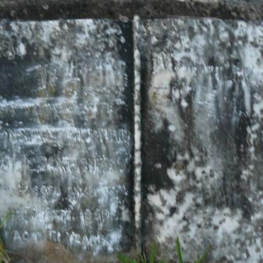 MATTHEYS Constanz Gertrad Julie -1959