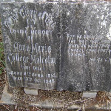 MALCOLM Anna Maria College nee DILL 1855-1949