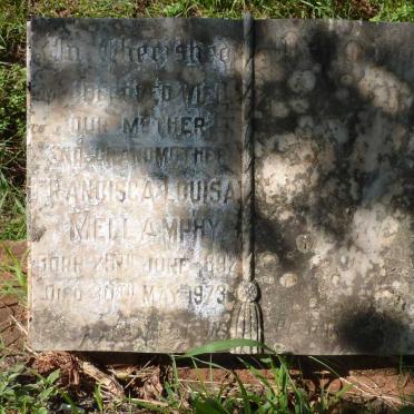 MELLAMPHY Francisca Louisa 1897-1973