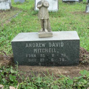 MITCHELL Andrew David 1976-1976