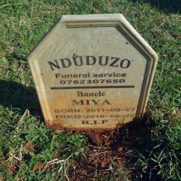 MIYA Banele 2011-2016