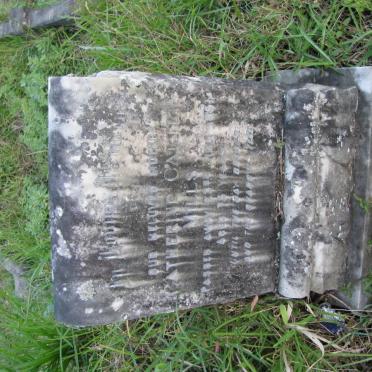 MILLS Catherine nee CARTER -1951 :: MILLS Mattie Iredale -1929 :: PUGH Kittie Carter 1904-1980