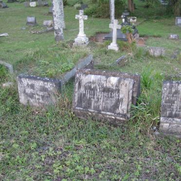 MILLS Catherine nee CARTER -1951 :: MILLS Mattie Iredale -1929 :: PUGH Kittie Carter 1904-1980