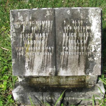 MILLER James Thomas -1937 &amp; Alice Mary 1952 :: HARDING Alice Mary -1936