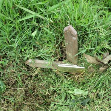 NAIDOO Danny Michael 1946-2017