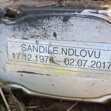 NDLOVU Sandile 1976-2017