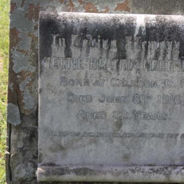 NEETHLING Hettie Beatrix -1916