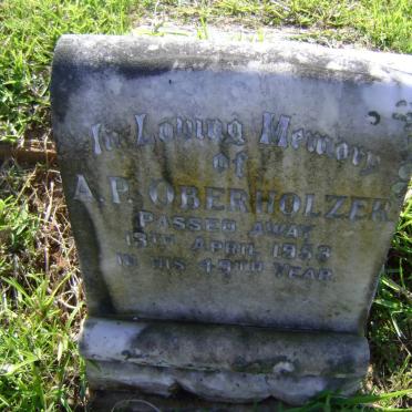 OBERHOLZER A.P. -1953