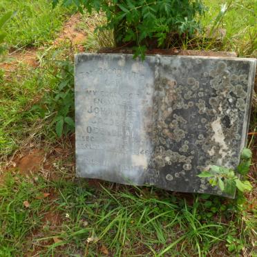 ODENDAAL Johannes Jacobus 1871-1946