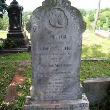 ORTON Charles Edward -19?? &amp; Henrietta -1912 :: ORTON Charles :: ORTON Willie -1918