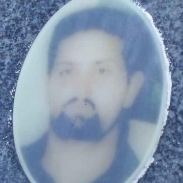 OTTO Johan 1976-2001 