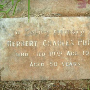 PURKIS Herbert Charles -1916