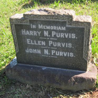 PURVIS Harry Nelson -1931 :: PURVIS Ellen -1945  :: PURVIS John Nelson -1951