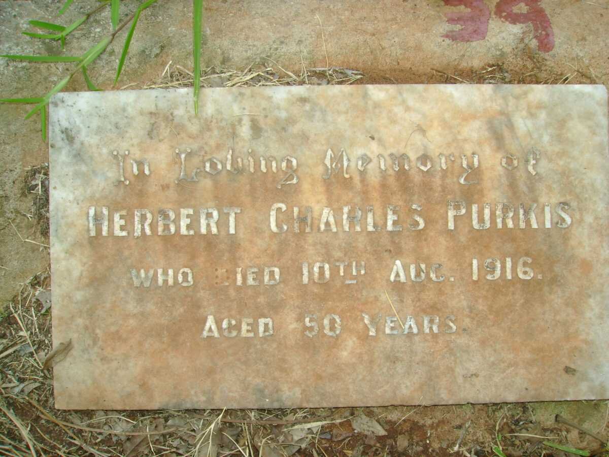 PURKIS Herbert Charles -1916