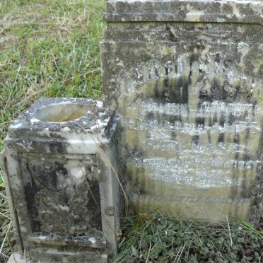 PURCHASE Edward James -1957