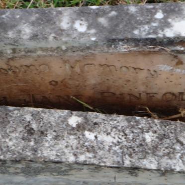 PINFOLD Edward George -1954 &amp; Sarah Jane nee MORRIS -1943