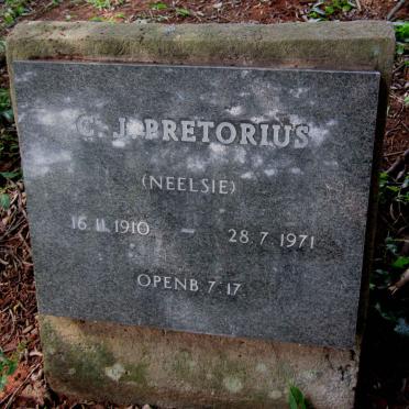 PRETORIUS C.J. 1910-1971