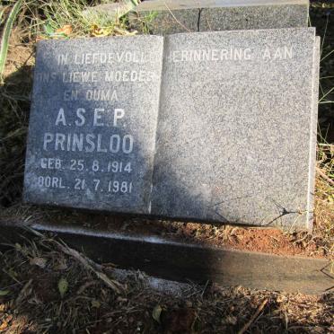 PRINSLOO Anna Susanna Elsie Petronella 1914-1981