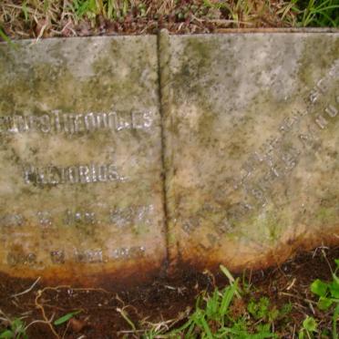 PRETORIUS Theunis Theodores 1922-1951