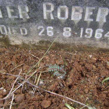 ROBERTSON Sarah S. 1888-1950 :: ROBERTSON D'Arthur Sylvester 1910-1964