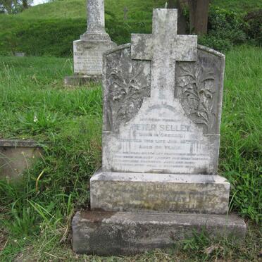 SELLEY Peter -1931 &amp; Nellie Cornelia Maria -1936