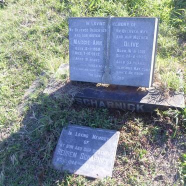 SCHARNICK Olive 1919-1975 :: SCHARNICK Maggie Ann 1956-1972 :: SCHARNICK Reuben 1944-1994