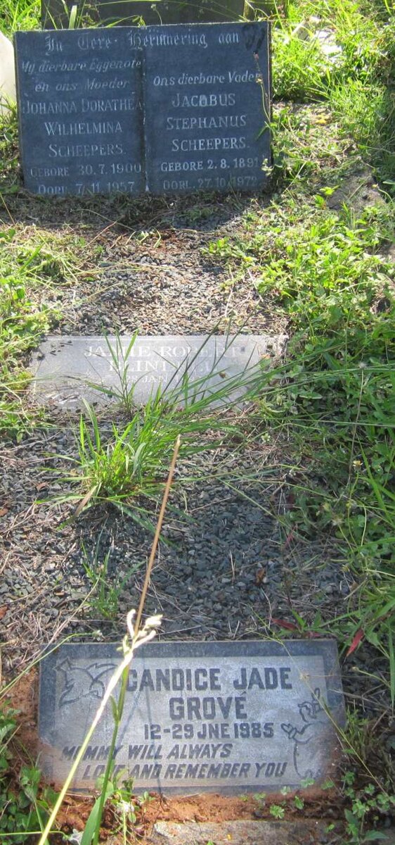 SCHEEPERS Jacobus Stephanus 1891-1972 &amp; Johanna Dorathea Wilhelmina 1900-1957