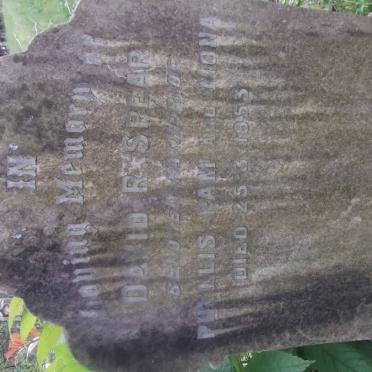 SPEAR David R. -1953