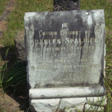 SPALDING Charles -1916