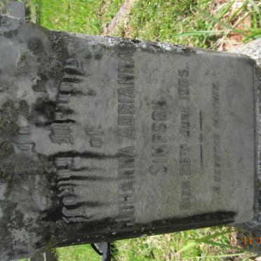 SIMPSON Pearl -1922 :: SIMPSON Algernon -1938 :: SIMPSON Harold Jellicoe Waddilove -1967 :: SIMPSON Johanna Adrianna -1965