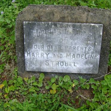STROBEL Harry -1926 &amp; Madeline -1944