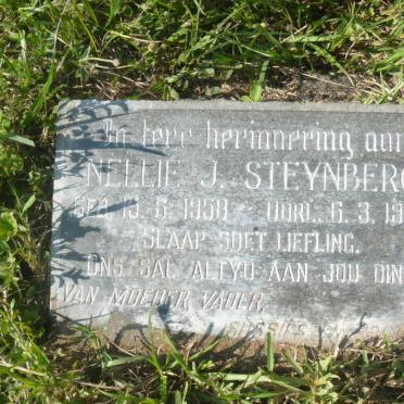 STEYNBERG Nellie J. 1958-1964