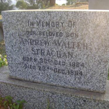 STRACHAN Andrew Walter 1964-1984