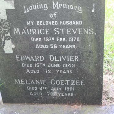 STEVENS Maurice -1970 :: OLIVIER Edward -1949 :: COETZEE Melanie -1981