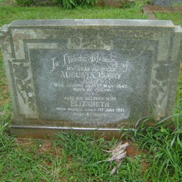 STEIN Augusta Henry -1947 &amp; Elizabeth -1951