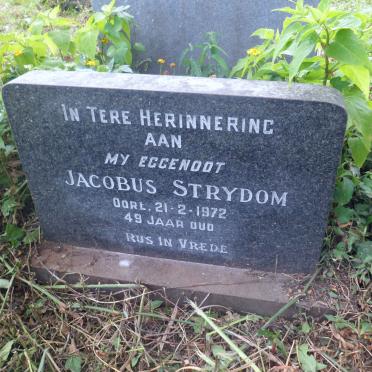 STRYDOM Jacobus -1972