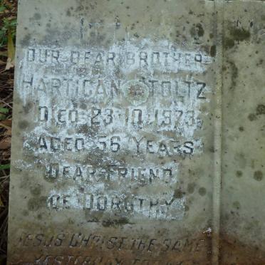 STOLTZ Hartigan -1973