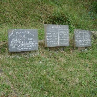 STRACHAN :: ADAM :: TAYLOR