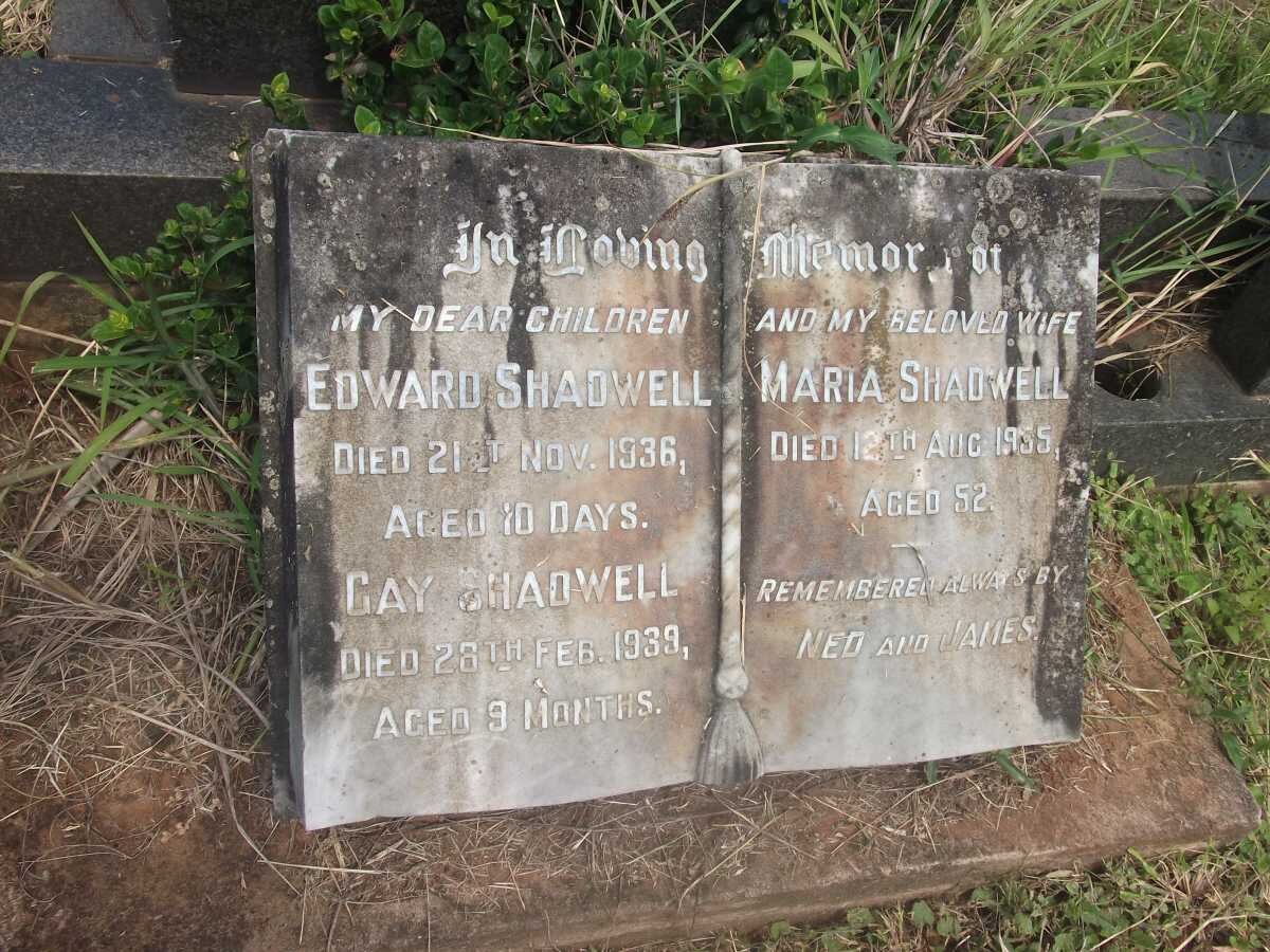 SHADWELL Maria -1955 :: SHADWELL Edward -1936 :: SHADWELL Gay -1939